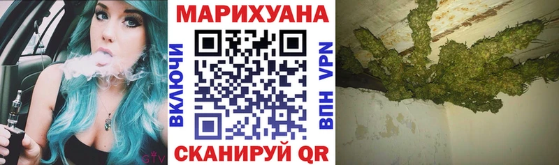 где купить наркоту  Шахунья  Шишки марихуана ГИДРОПОН 
